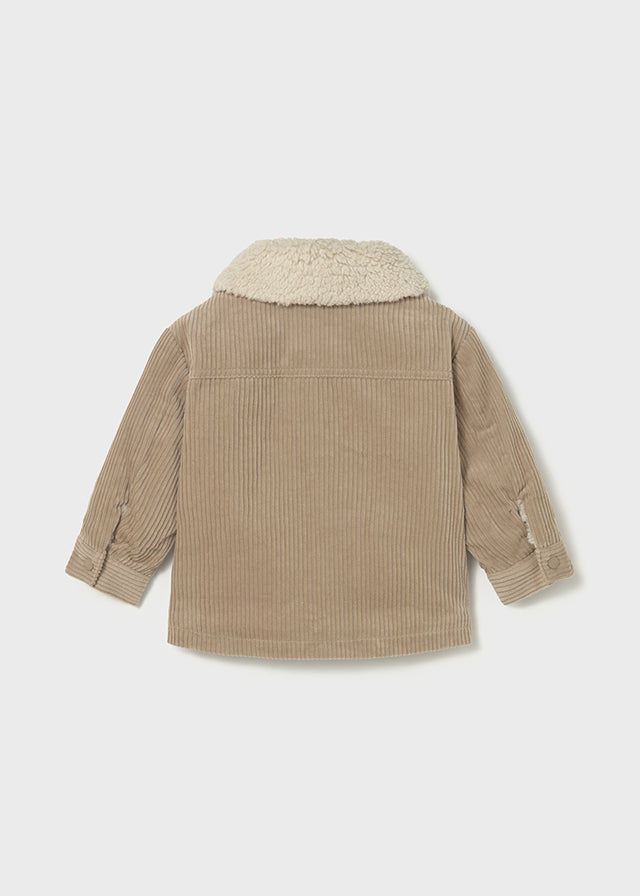 Coat Wood - Mayoral