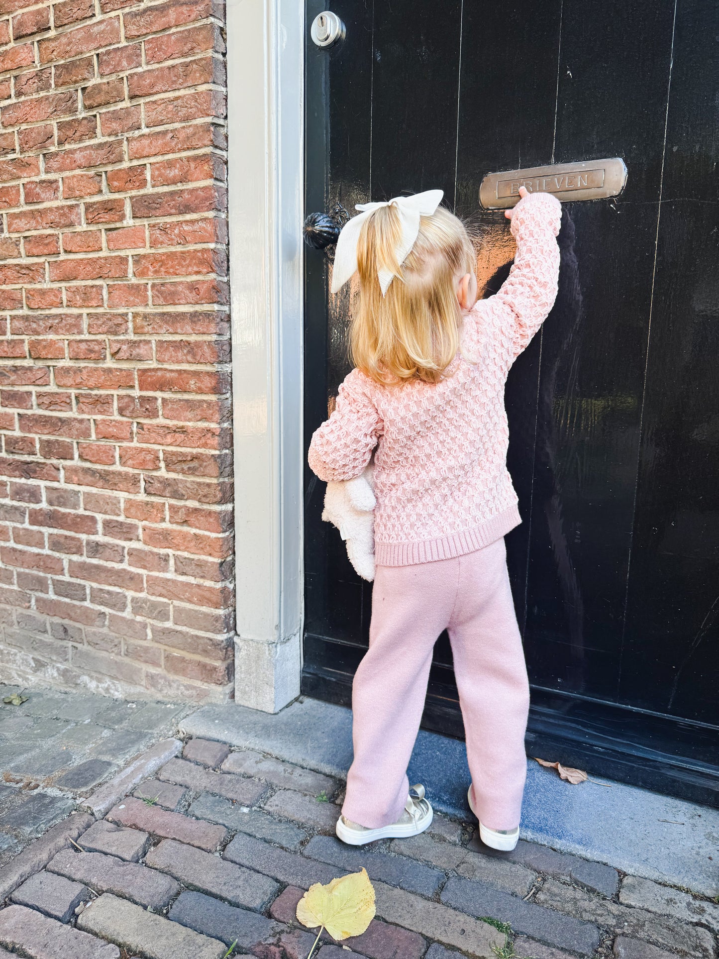 Trouser Set Pink - Abel & Lula