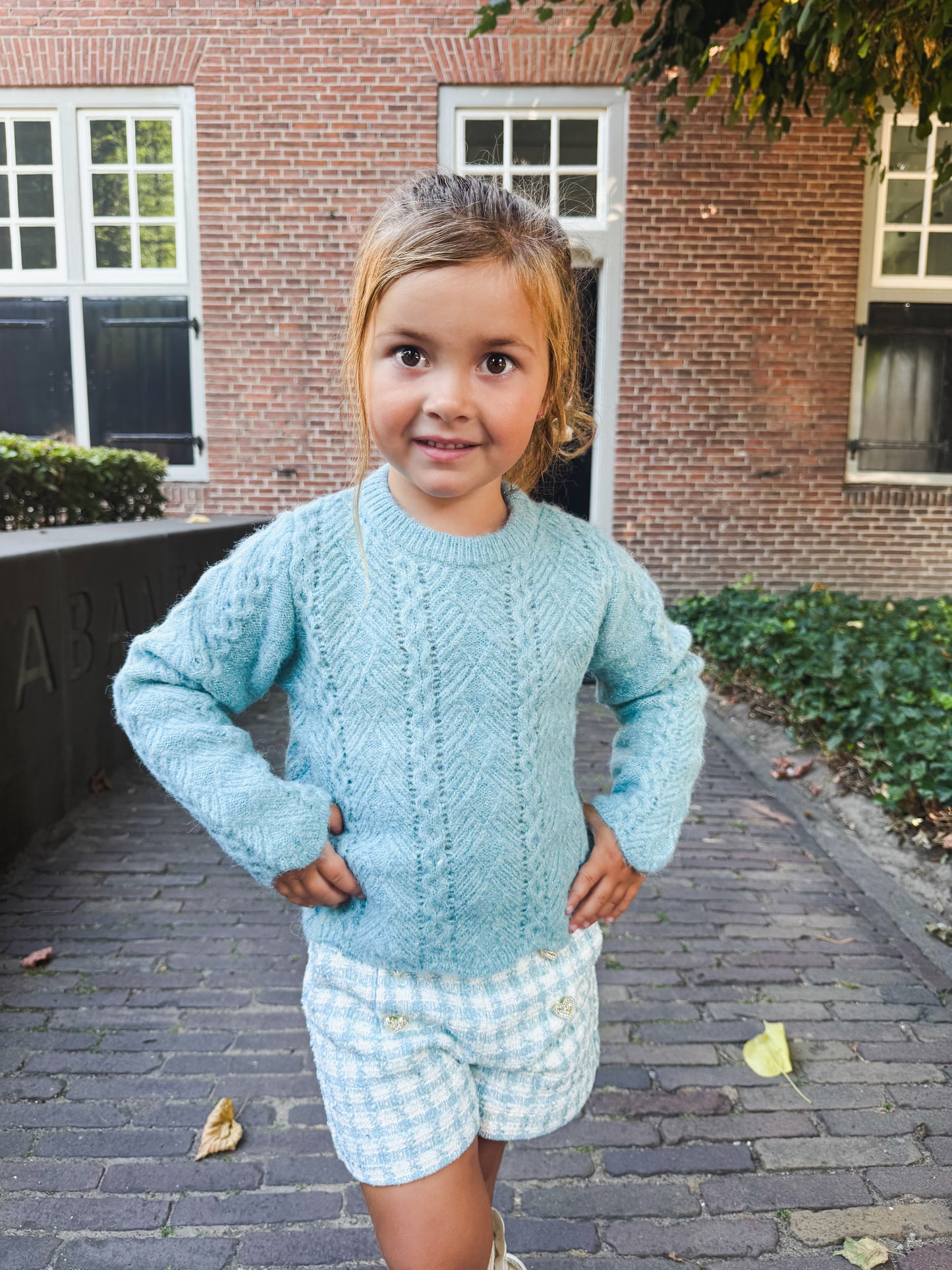 Sweater Aqua - Abel & Lula
