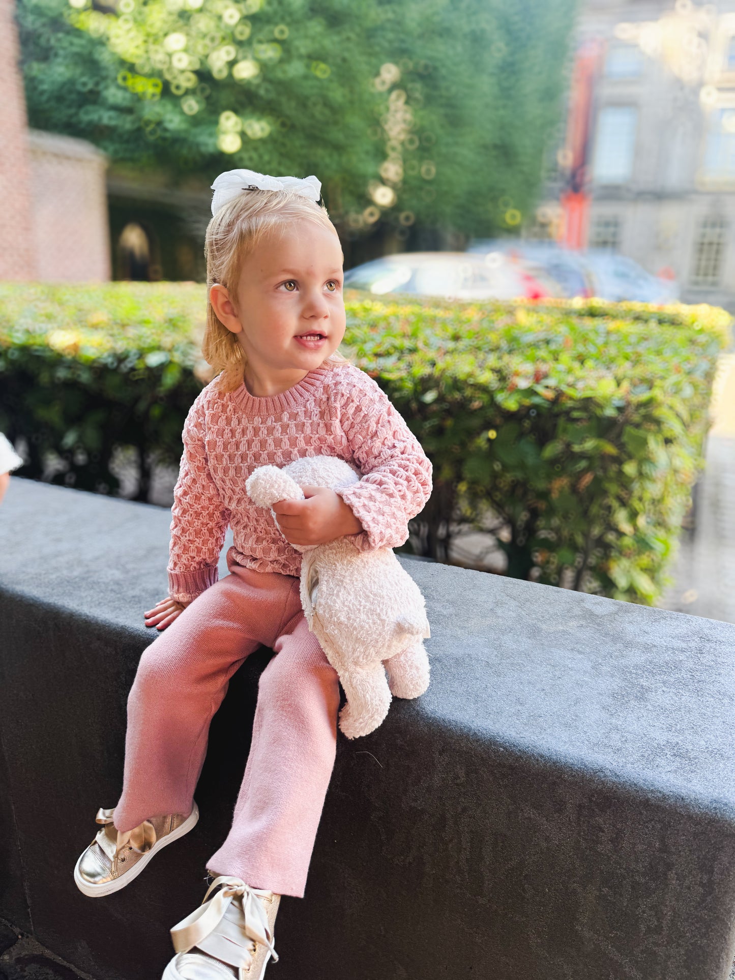 Trouser Set Pink - Abel & Lula