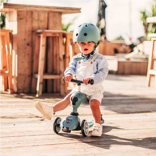 2 in 1 Loopfiets En Step - Scoot And Ride