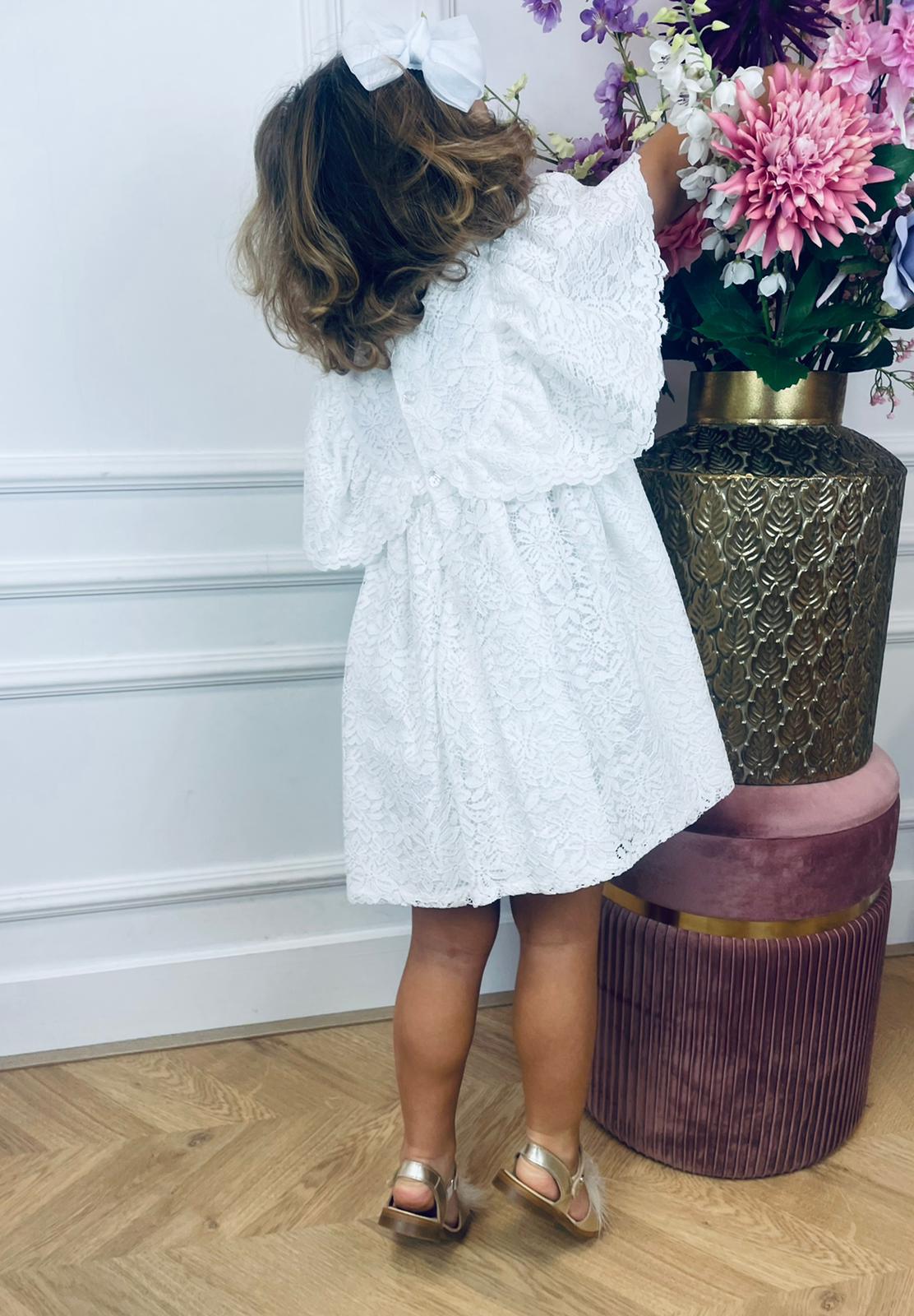 Special Lace Dress Paris - Petite Zara