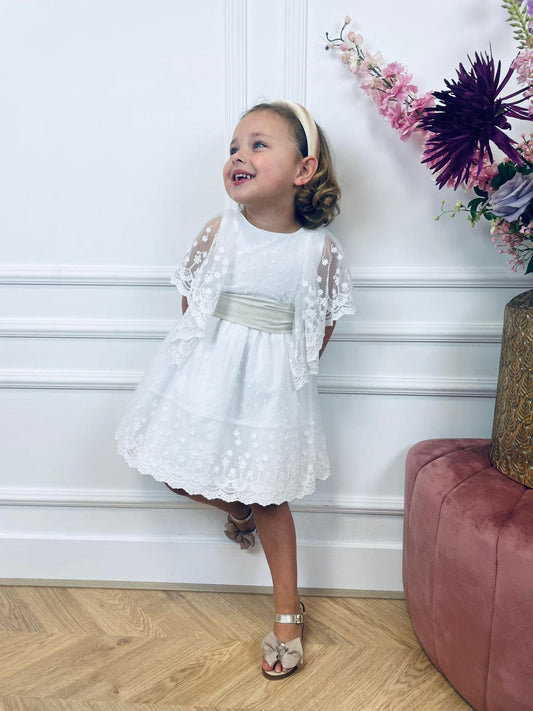 Luxury Dress Beige Bow - Petite Zara