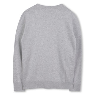 Sweater Gray - Boss