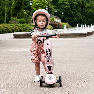 2 in 1 Loopfiets En Step Roze - Scoot And Ride