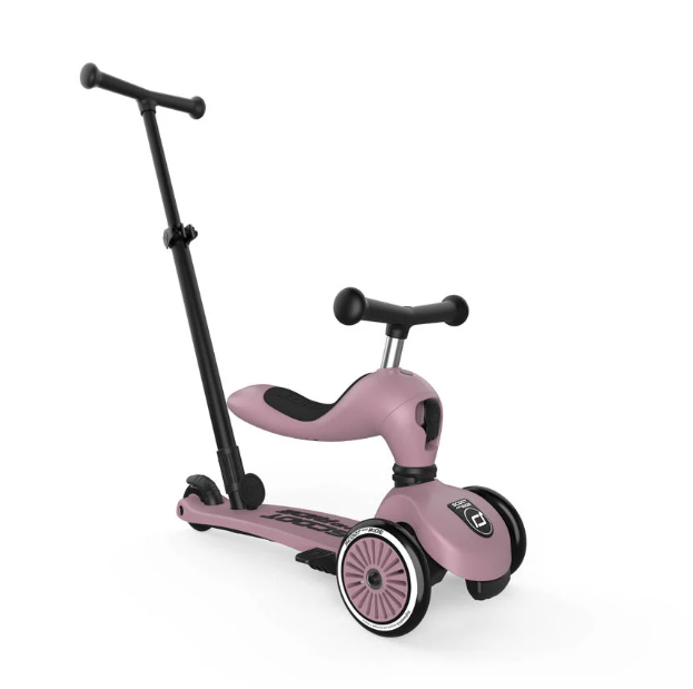 2 in 1 Loopfiets En Step Met Duwstang - Scoot And Ride