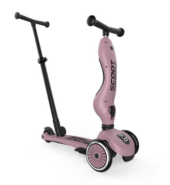 2 in 1 Loopfiets En Step Met Duwstang - Scoot And Ride