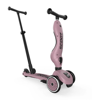 2 in 1 Loopfiets En Step Met Duwstang - Scoot And Ride