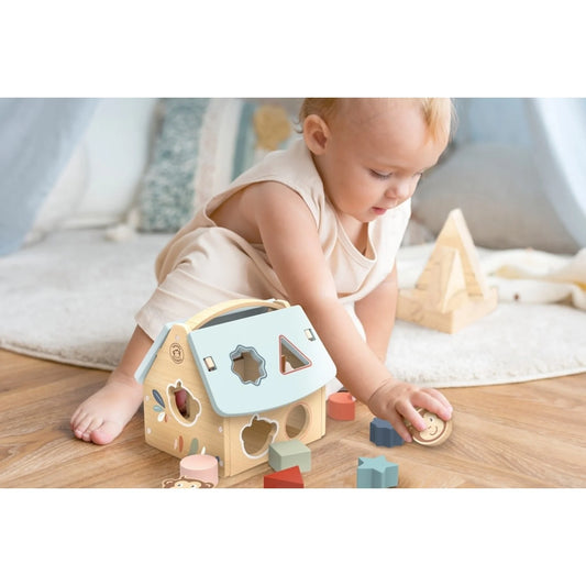 House Shape Sorter- Souza